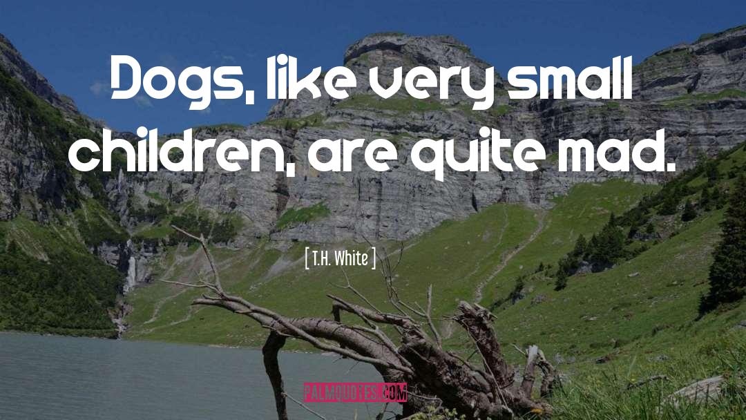 Small Children quotes by T.H. White