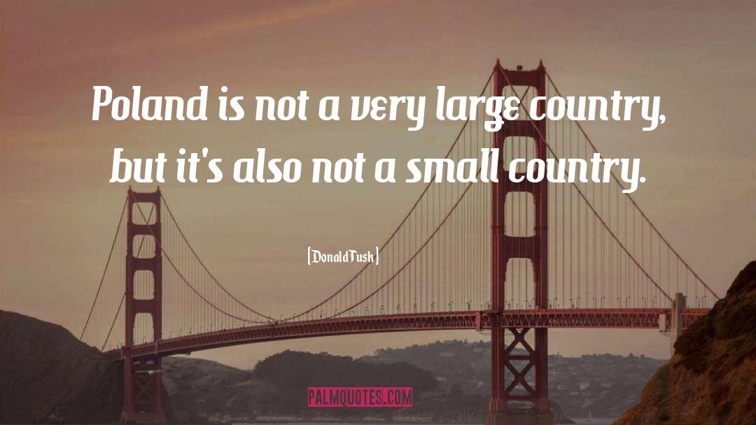 Small Countries quotes by Donald Tusk