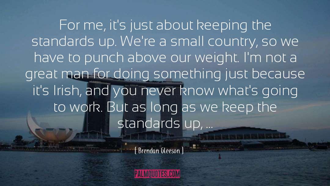Small Country quotes by Brendan Gleeson