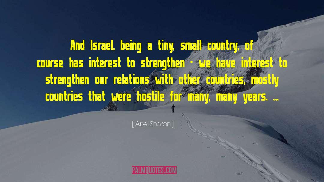 Small Country quotes by Ariel Sharon