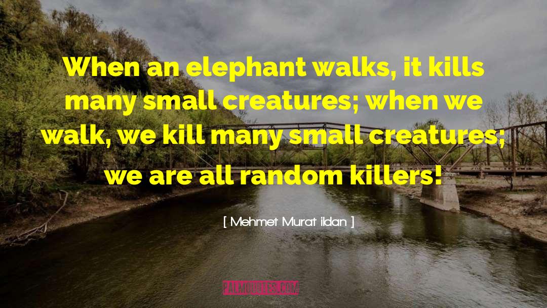Small Creatures quotes by Mehmet Murat Ildan