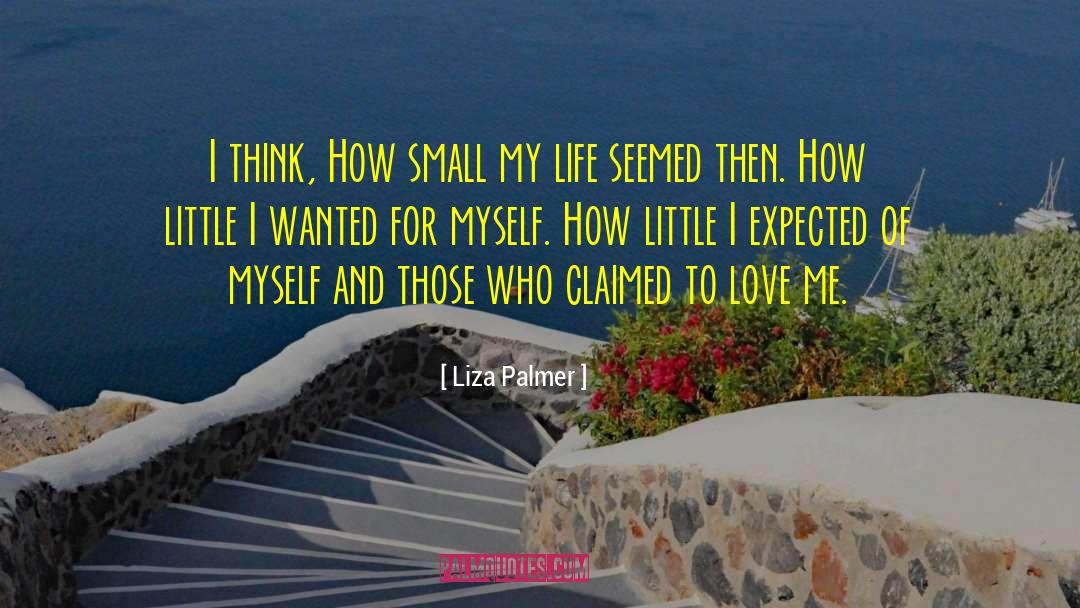 Small Details quotes by Liza Palmer