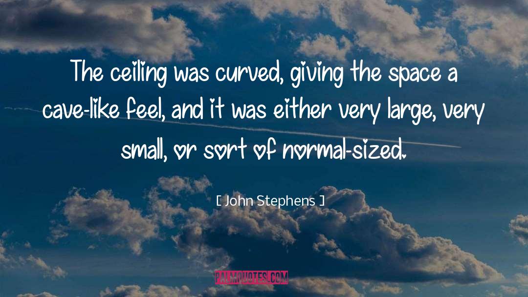 Small Details quotes by John Stephens