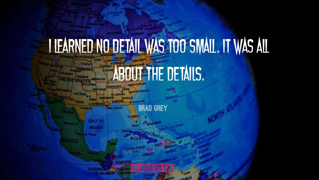 Small Details quotes by Brad Grey
