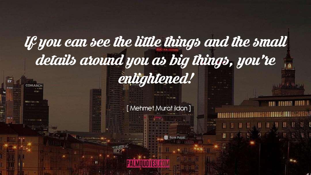 Small Details quotes by Mehmet Murat Ildan