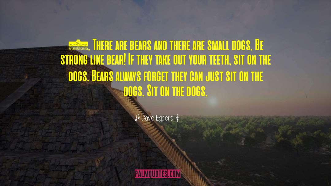 Small Dogs quotes by Dave Eggers