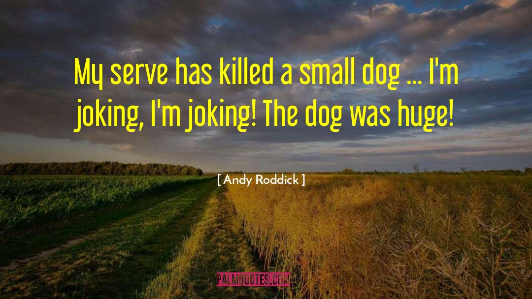 Small Dogs quotes by Andy Roddick