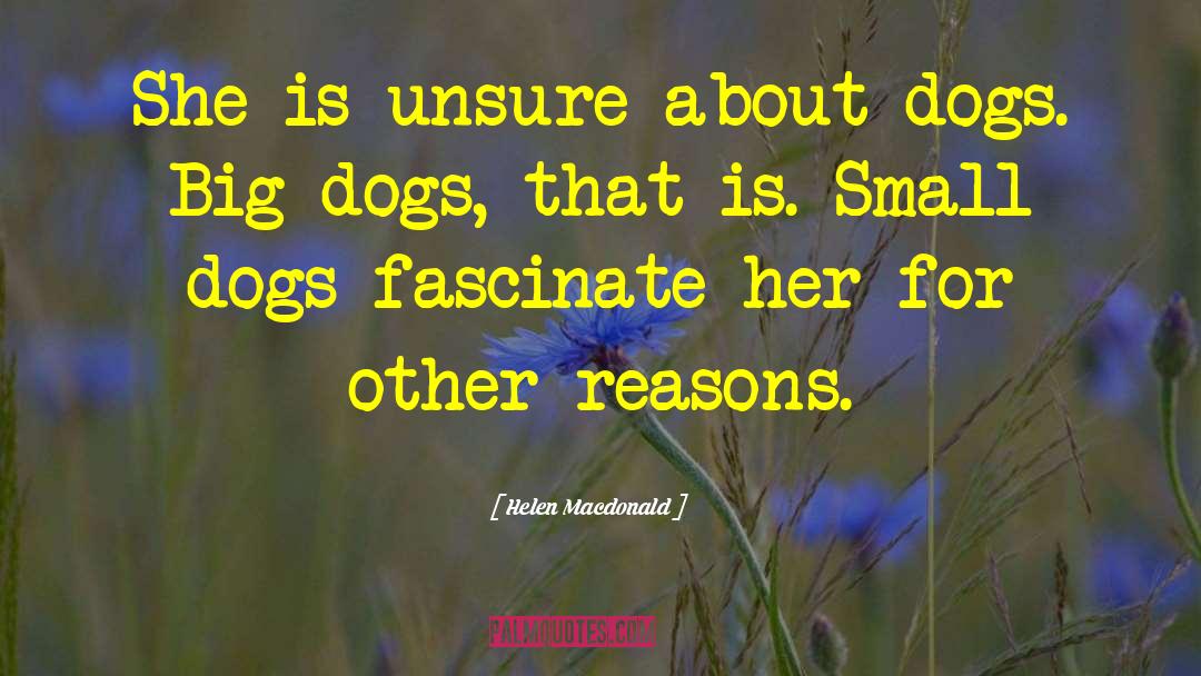 Small Dogs quotes by Helen Macdonald