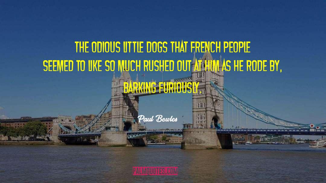 Small Dogs quotes by Paul Bowles