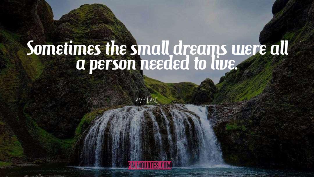 Small Dreams quotes by Amy Lane