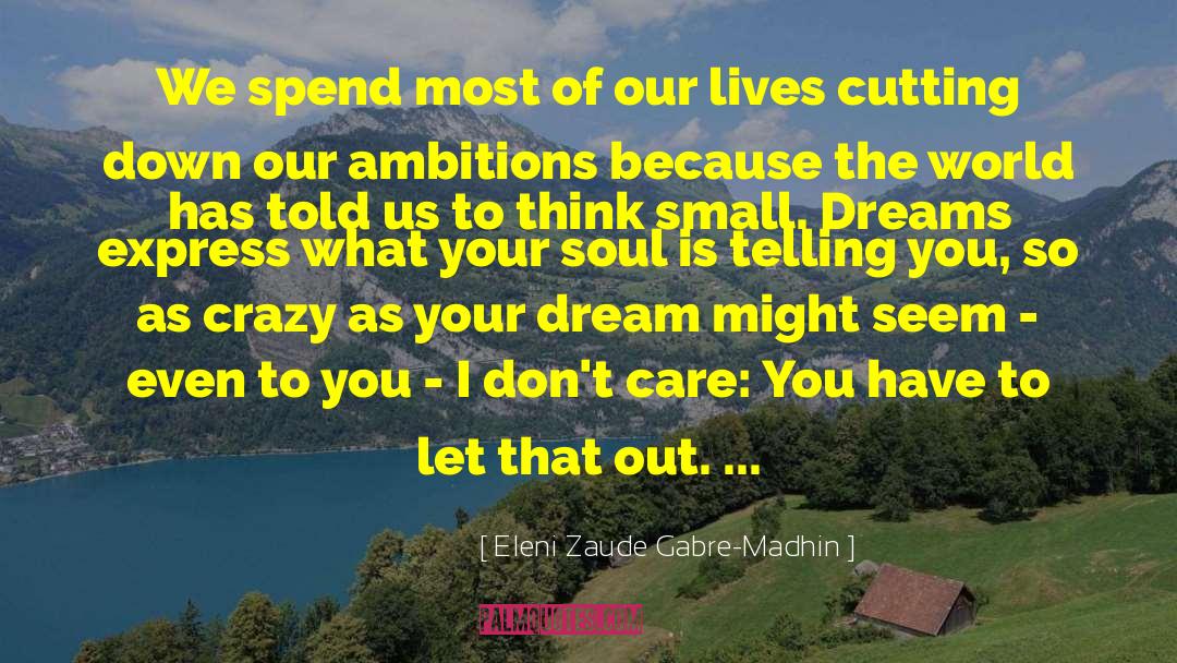 Small Dreams quotes by Eleni Zaude Gabre-Madhin