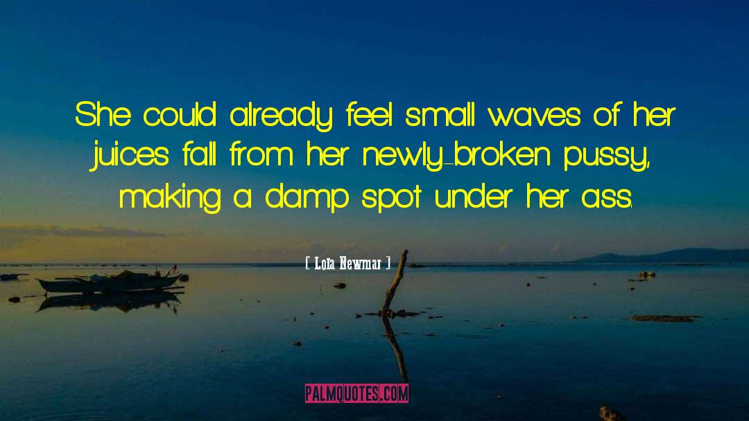 Small Efforts quotes by Lola Newmar