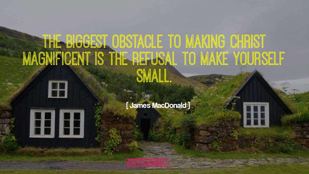 Small Family quotes by James MacDonald