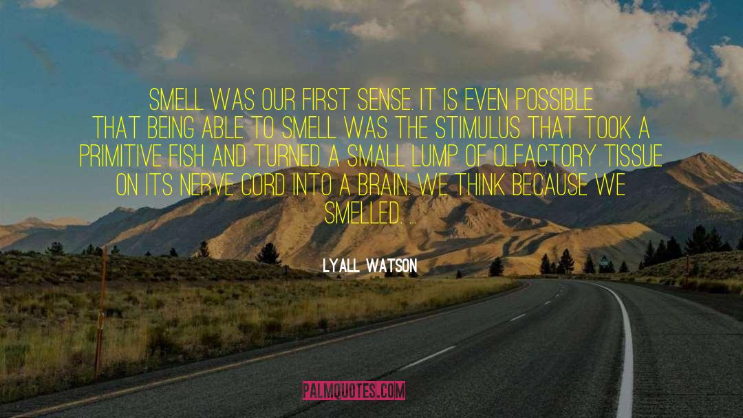 Small Fish quotes by Lyall Watson