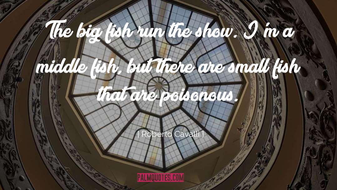 Small Fish quotes by Roberto Cavalli