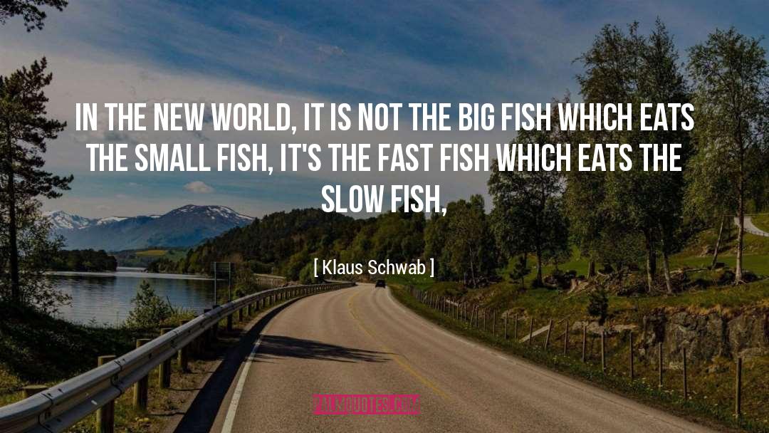 Small Fish quotes by Klaus Schwab