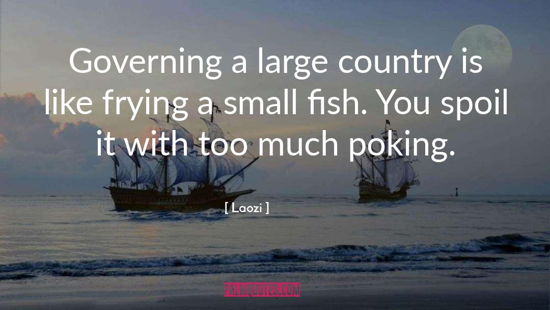 Small Fish quotes by Laozi