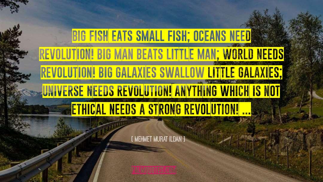 Small Fish quotes by Mehmet Murat Ildan