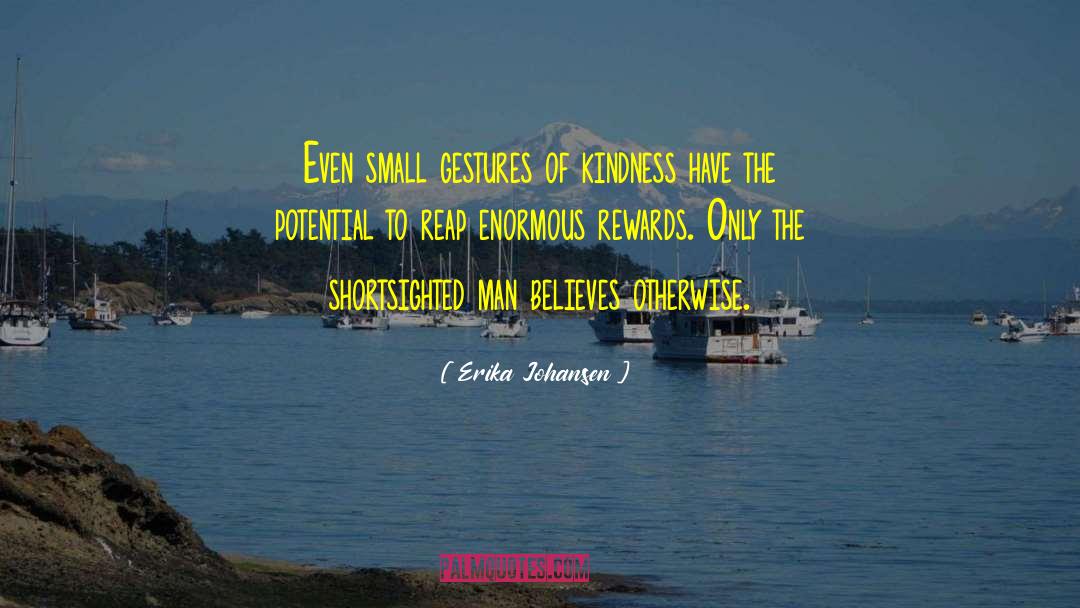 Small Gestures quotes by Erika Johansen