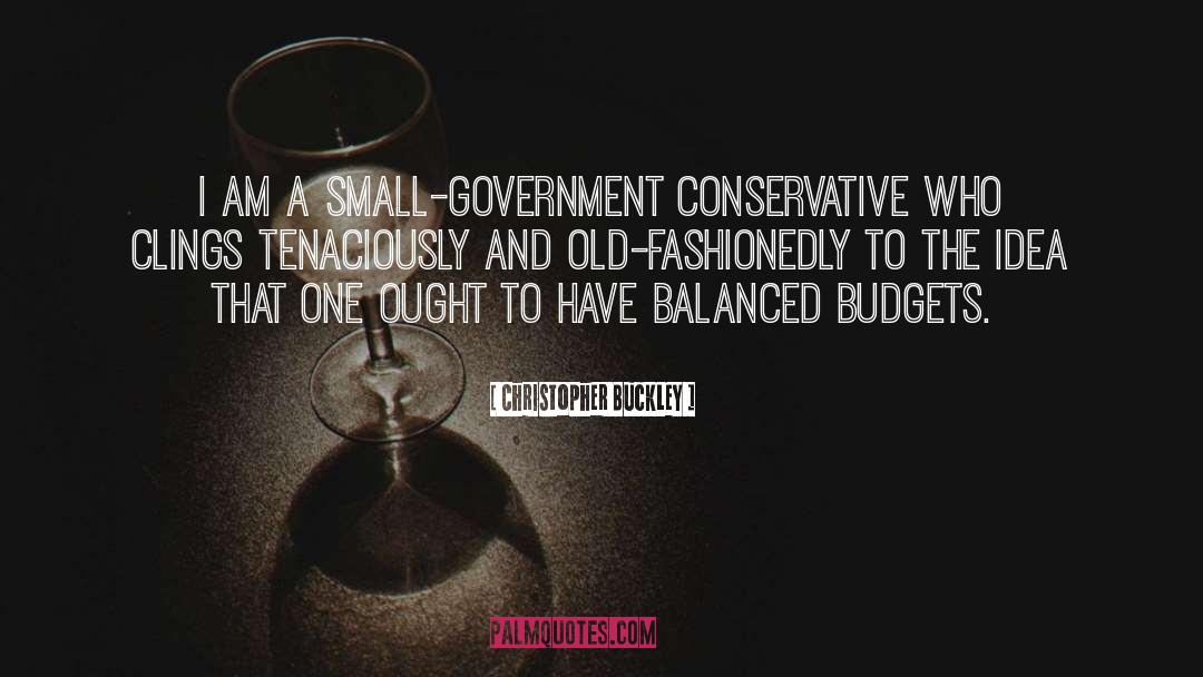 Small Government quotes by Christopher Buckley