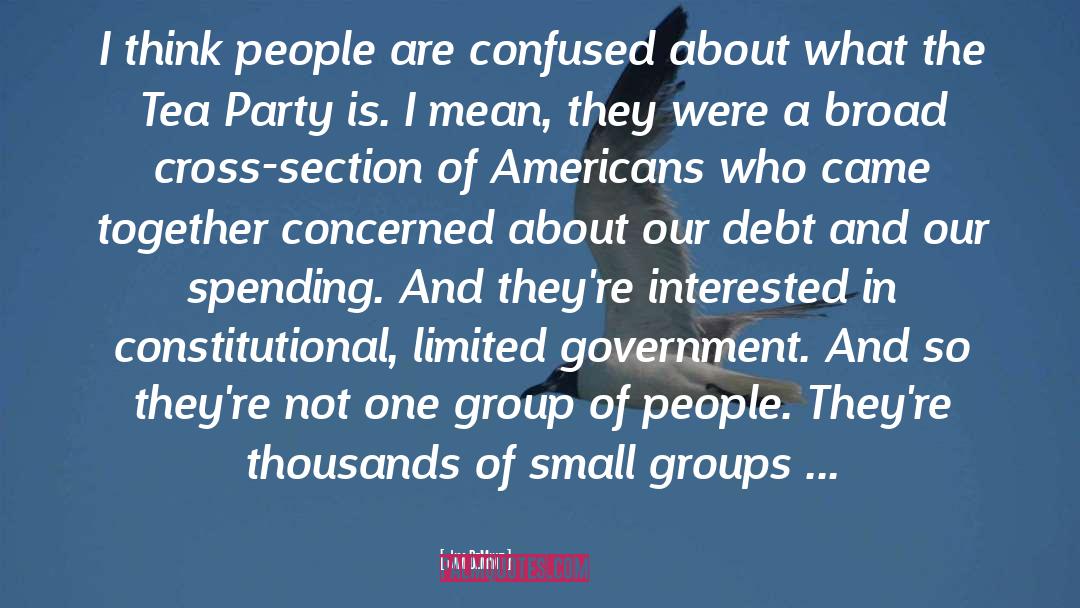 Small Groups quotes by Jim DeMint