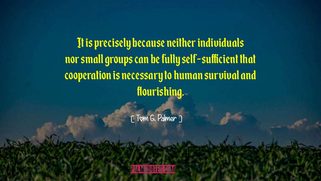 Small Groups quotes by Tom G. Palmer