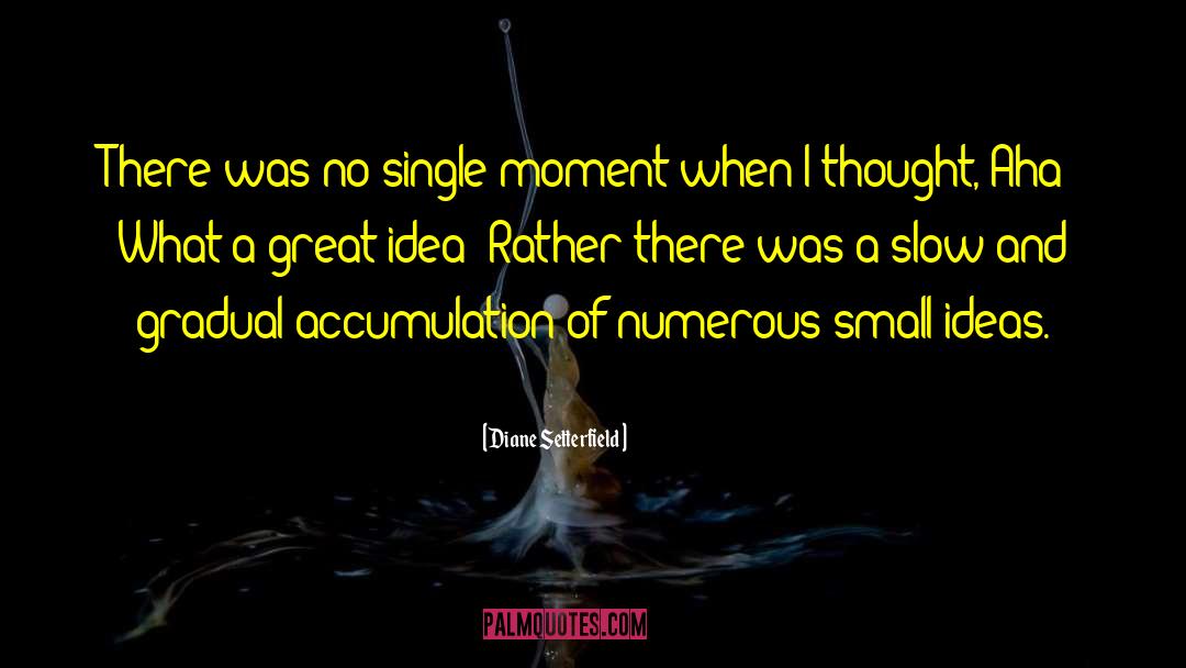 Small Ideas quotes by Diane Setterfield