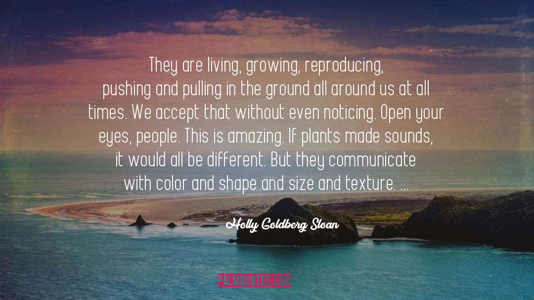 Small In Size quotes by Holly Goldberg Sloan