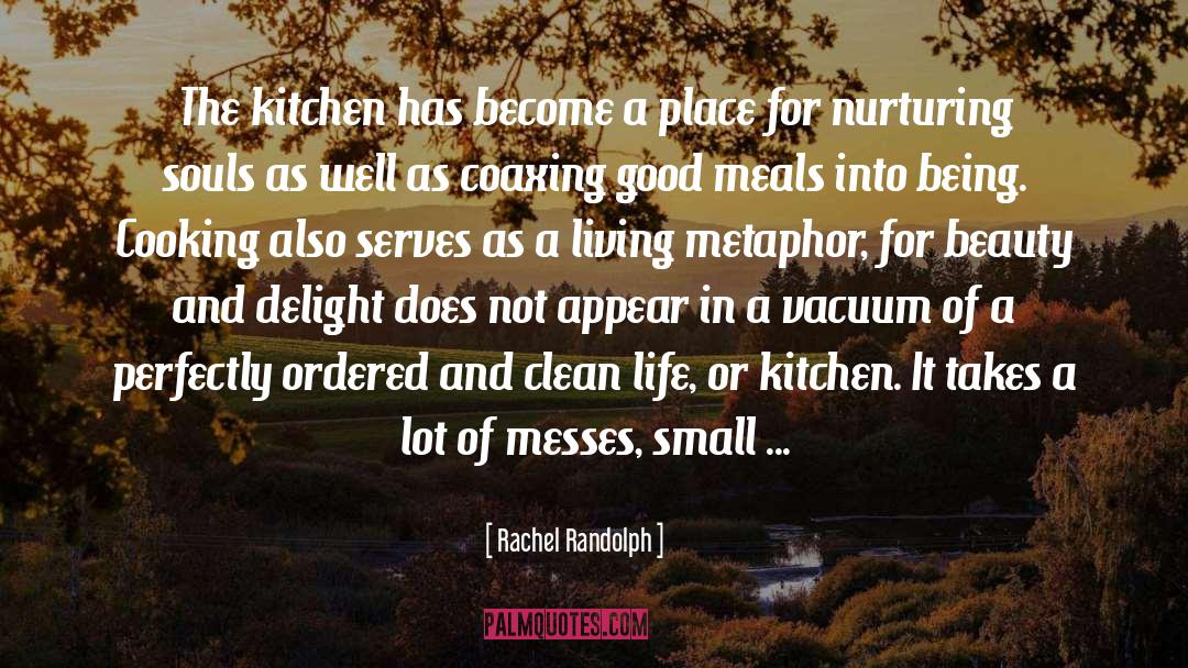 Small Kitchen Renovation quotes by Rachel Randolph