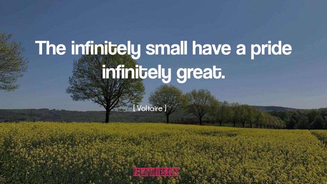 Small Letters quotes by Voltaire