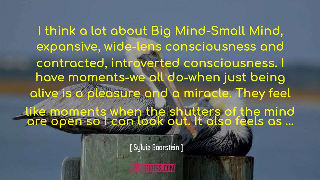 Small Mind quotes by Sylvia Boorstein