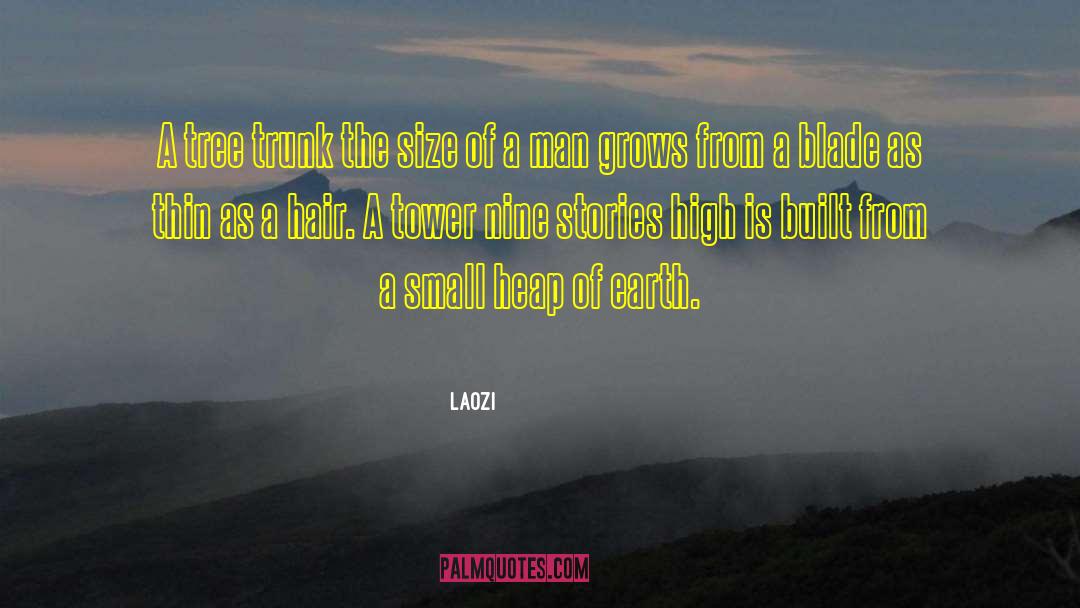 Small Mindedness quotes by Laozi