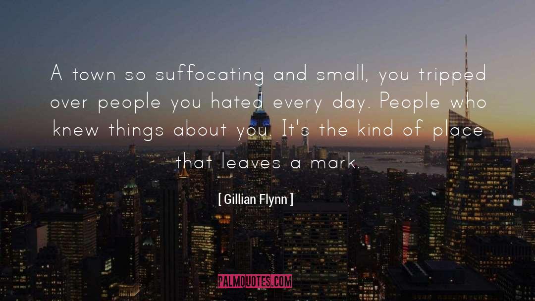 Small Mindedness quotes by Gillian Flynn