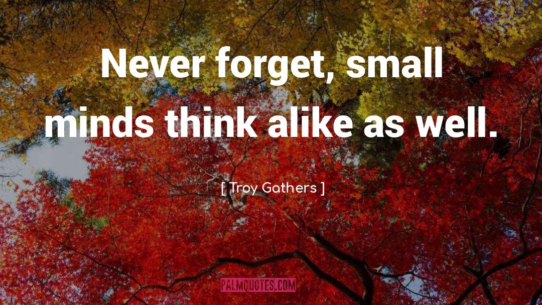 Small Minds quotes by Troy Gathers