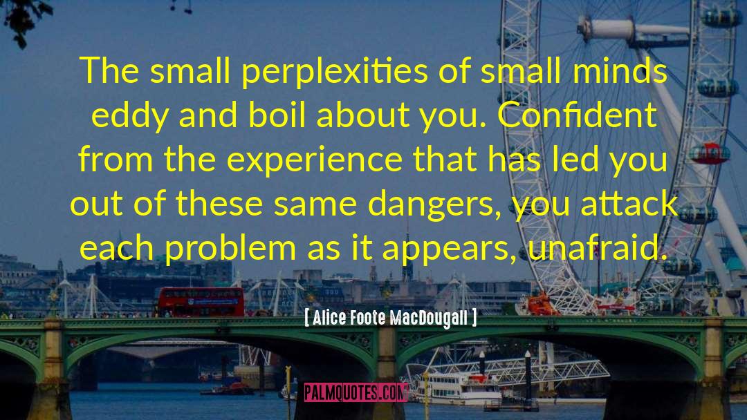 Small Minds quotes by Alice Foote MacDougall