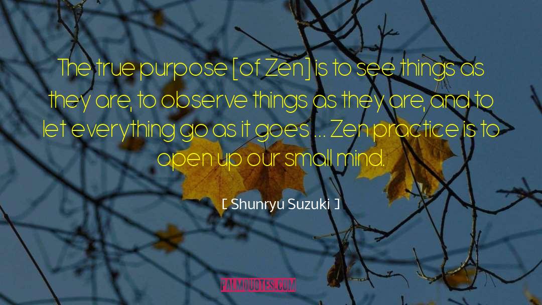 Small Minds quotes by Shunryu Suzuki