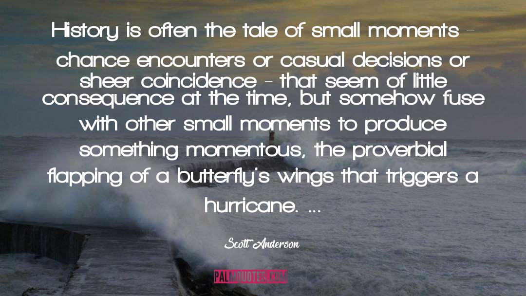 Small Moments quotes by Scott Anderson