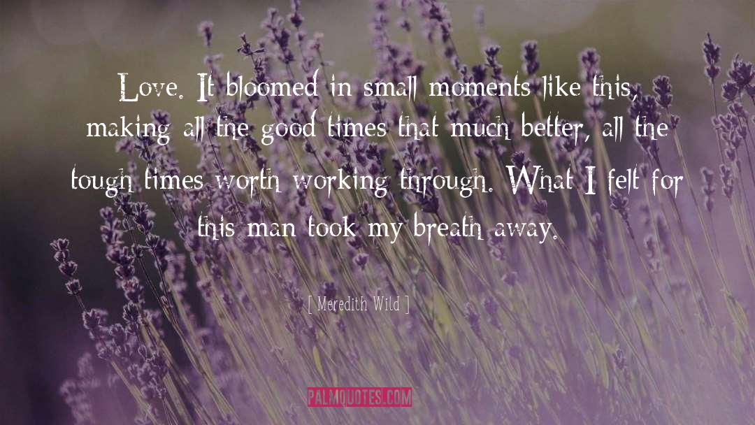 Small Moments quotes by Meredith Wild
