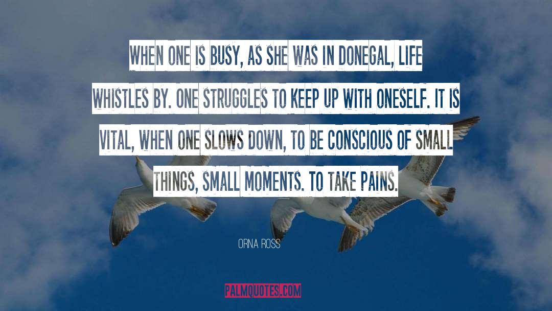 Small Moments quotes by Orna Ross