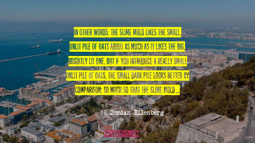 Small Nations quotes by Jordan Ellenberg