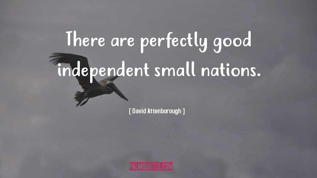 Small Nations quotes by David Attenborough