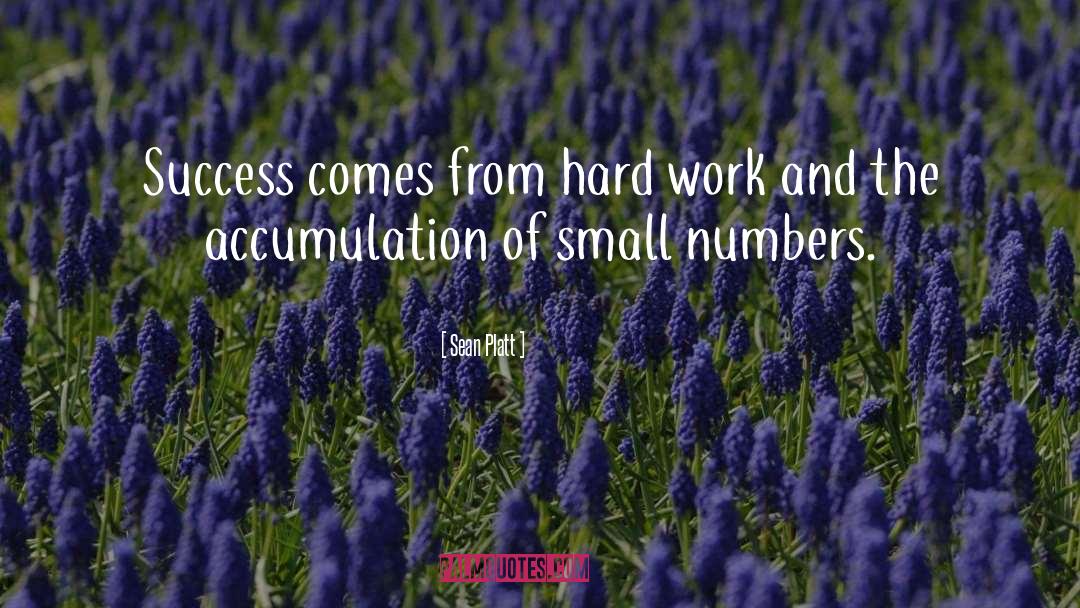 Small Numbers quotes by Sean Platt