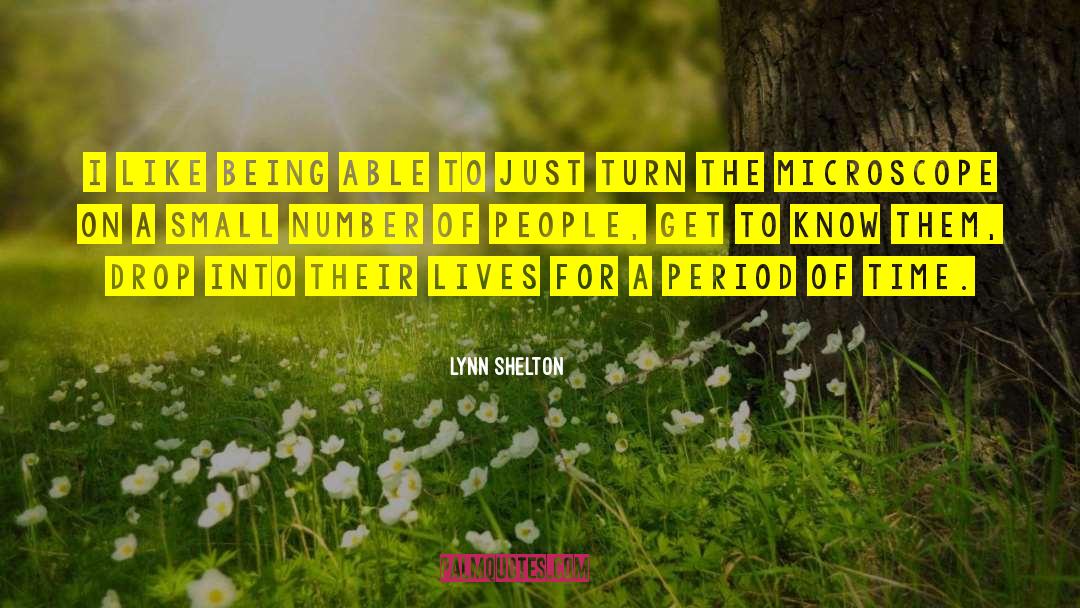 Small Numbers quotes by Lynn Shelton