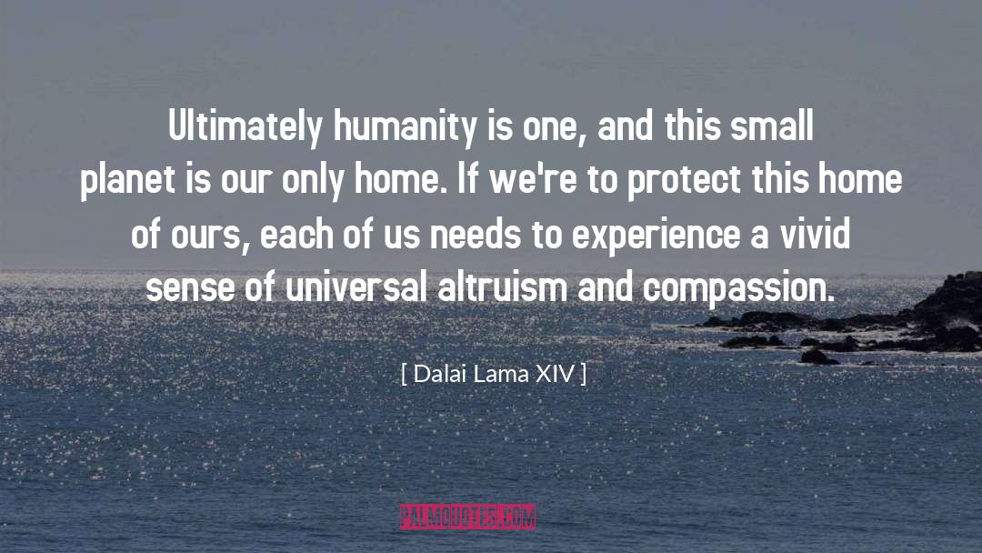 Small Objects quotes by Dalai Lama XIV