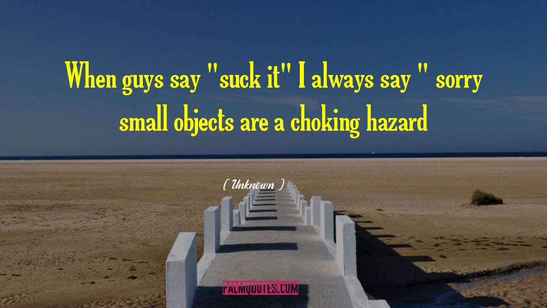 Small Objects quotes by Unknown