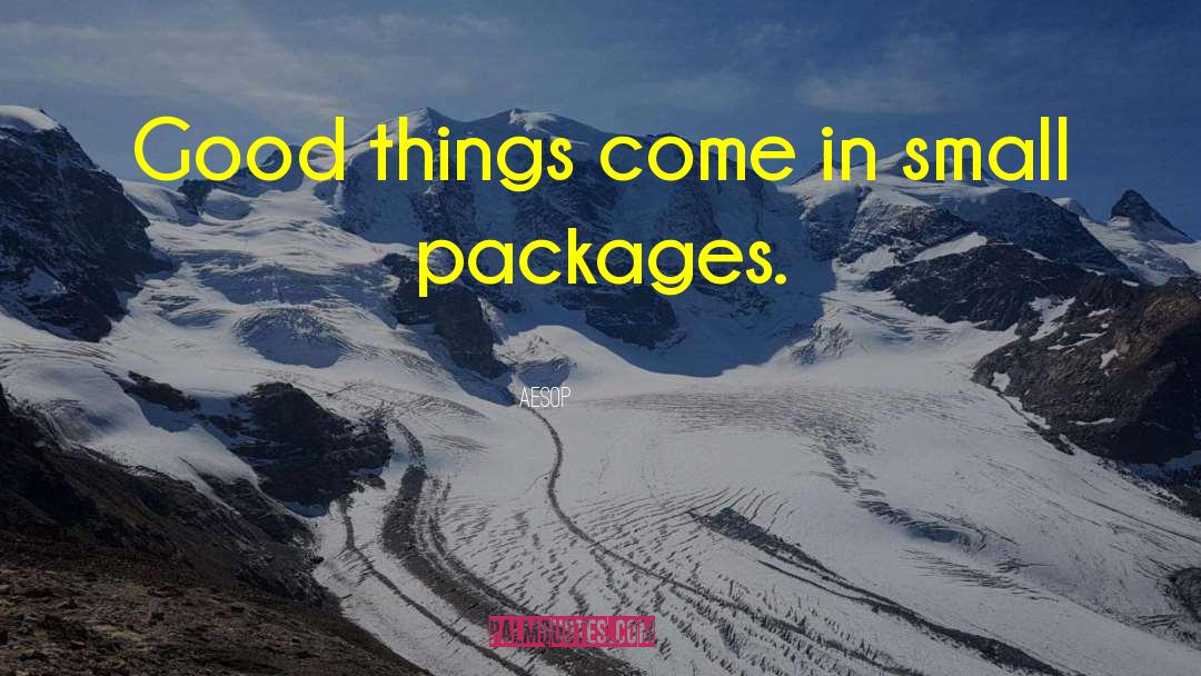 Small Packages quotes by Aesop