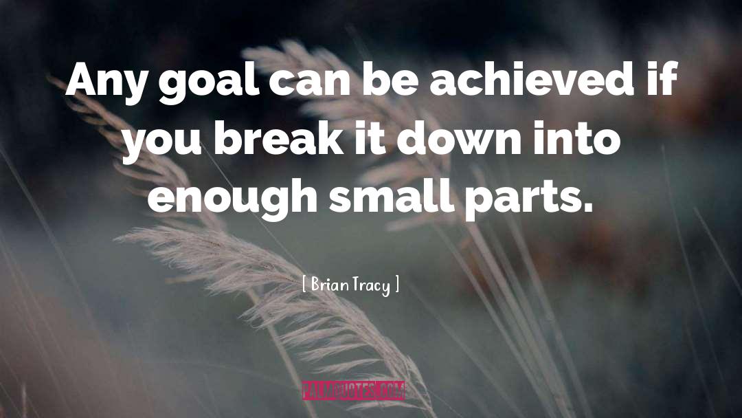 Small Parts quotes by Brian Tracy