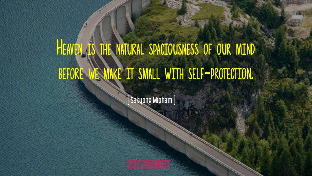 Small Pleasures quotes by Sakyong Mipham