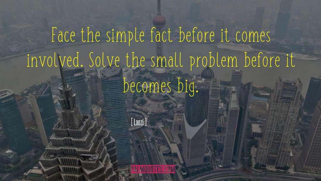 Small Problems quotes by Laozi