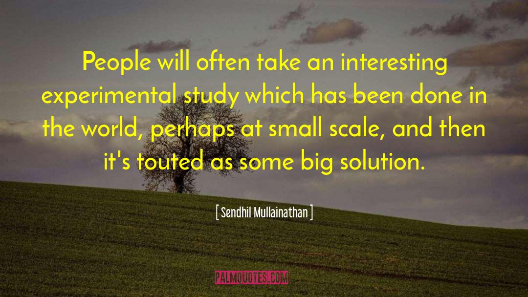 Small Scale quotes by Sendhil Mullainathan